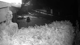 Meister Proper entführt! 1,9 Meter großer Aufsteller geklaut