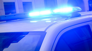 Protest auf dem Main: Demo auf Booten gegen Trumps Gaza-Friedensplan