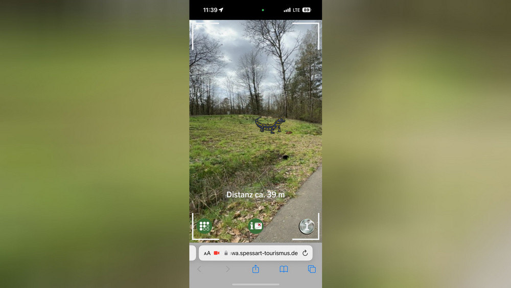 So sieht es aus, wenn auf dem Smartphone-Display durch die Kamera zum Beispiel ein Salamander erscheint.