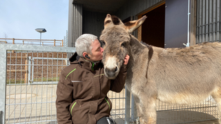 Tiergarten Fulda öffnet rechtzeitig zur Landesgartenschau