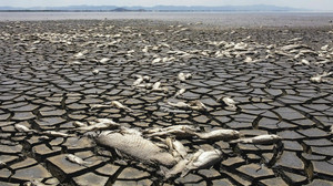 2023 und 2024 wurde Erderwärmung um mehr als 1,5 Grad überschritten