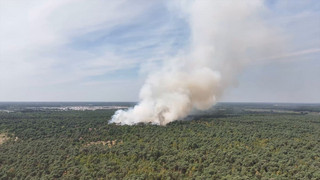 Waldbrände in Europa und USA: Zehntausende müssen fliehen