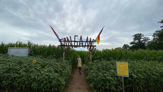 Wo Verlaufen Spaß macht: Das Maislabyrinth in Künzell
