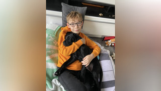 Typisierungsaktion in Wabern: Leo braucht dringend Knochenmarkspende