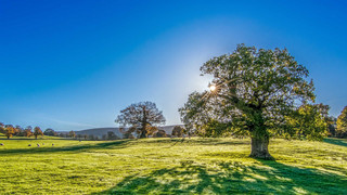 Supersommer 2022: Schon 84 Sommertage über 25 Grad