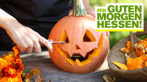 Kürbis schnitzen: Tipps vom Profil für Haltbarkeit & Werkzeug