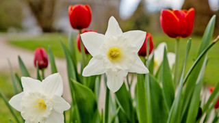 Kreuz & Quer am 20. und 21. April – Frohe Ostern!