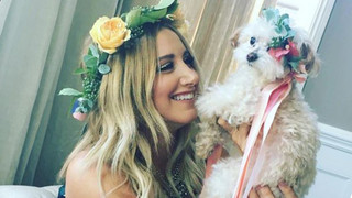 Stars und ihre Haustiere: Hunde, Katzen und Co