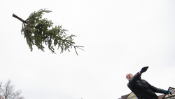 Tannenbaumweitwurf Flörsheim