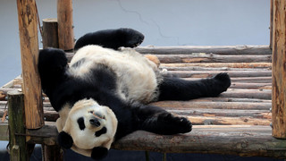 Studie zu Arbeitsmoral in Deutschland: Oft nur noch das Nötigste