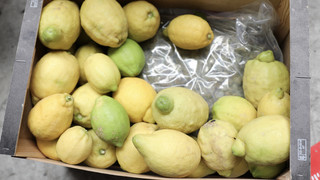 In Zitronen-Kisten: Ermittler finden knapp eine Tonne Drogen