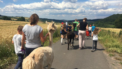 Ferienfreizeiten im Kreis Fulda: Was euch 2026 erwartet