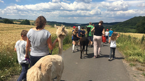 Ferienfreizeiten im Kreis Fulda: Was euch 2026 erwartet