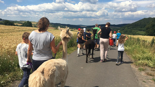 Ferienfreizeiten im Kreis Fulda: Was euch 2026 erwartet