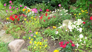 Wer hat den Schönsten? Vorgartenwettbewerb der Stadt Fulda