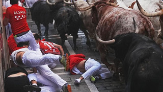 San Fermín in Pamplona: Erste Stierhatz trotz Protesten von Tierschützern