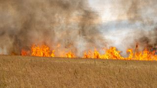 Feldbrand in Hosenfeld: Wind sorgt für Probleme