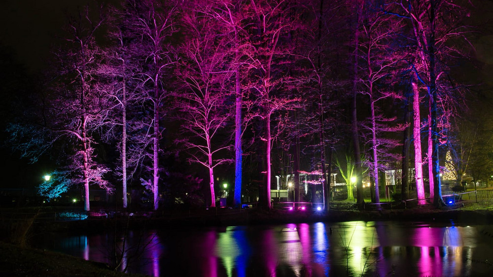 Beim Winterzauber in Bad Orb wird der Kurpark in schönes Licht getaucht. 