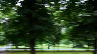 Allein im Wald - Fahrradfahrer stürzt und stirbt bei Rosbach