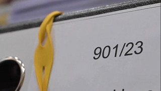 Bundesgerichtshof prüft Verbrenner-Aus für BMW und Mercedes