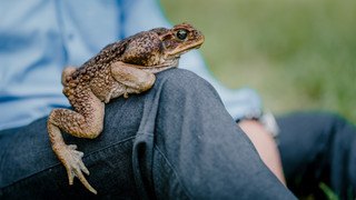 Die verrücktesten Haustiere in Hessen