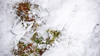 Flucht in Wölfersheim: Polizei findet Fahrer wegen Schneespuren