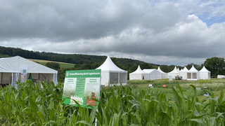 Öko-Feldtage 2022 - Hessens Biobauern treffen sich in Villmar