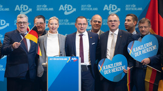 Verfassungsschutz: AfD ist gesichert rechtsextremistisch