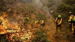 Neue Waldbrände in Spanien