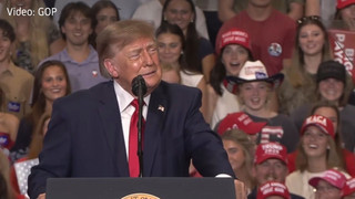 Trump verspottet Wahlkampf-Störer – Jubel für Prügel