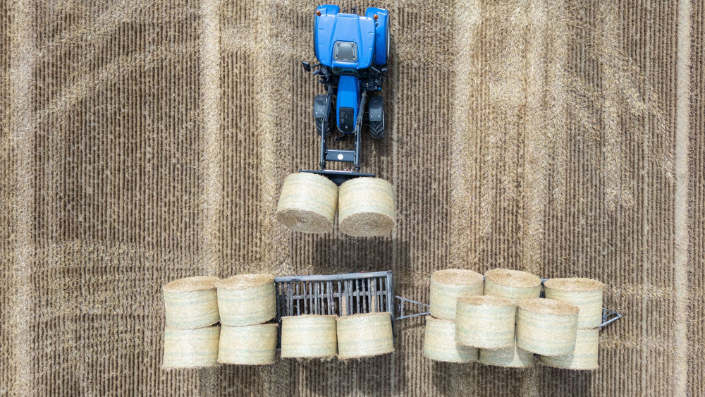 Erntesaison in Hessen
