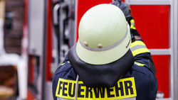 Feuerwehr rettet in Birkenau Pferd aus Güllegrube