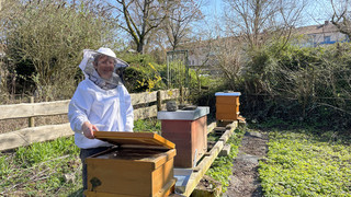 Schnupper-Imkern in Bad Vilbel: Die Welt der Bienen entdecken