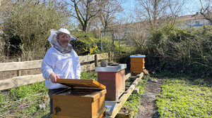 Schnupper-Imkern in Bad Vilbel: Die Welt der Bienen entdecken