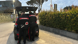 Polizei hebt in Italien enorme illegale Zigarettenfabrik aus