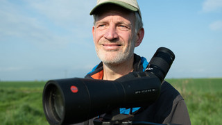 Hessens Vögel werden gezählt und jeder kann mitmachen