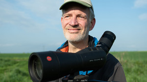 Hessens Vögel werden gezählt und jeder kann mitmachen