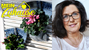 Deko-Expertin Monika Geißler: Profitipps für dein Zuhause