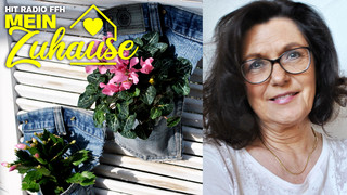 Deko-Expertin Monika Geißler: Profitipps für dein Zuhause