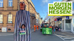 Faschingsumzug in Friedberg: Julia hat einen Schwellkopf getragen