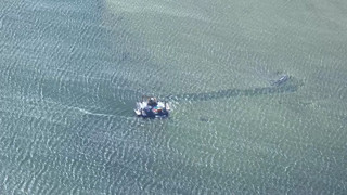 Rettung weiter verzögert: Neue Hürden beim Wal-Einsatz