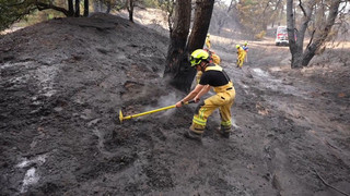Feuer in niederländischem Naturgebiet: Brandgeruch bis Kleve