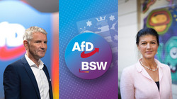 Höcke-Offerte an Wagenknecht: Wahltaktik?