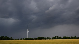 Gewitter in Mittel- und Nordhessen: Baum fällt in Staufenberg auf Auto