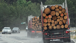 Polizei stoppt Holz-Laster auf A485 bei Gießen