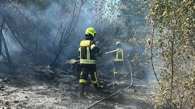 Waldbrand bei Hattersheim gelöscht