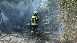 Waldbrand bei Hattersheim gelöscht