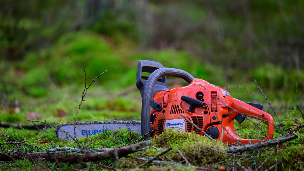 Motorsägekurse bei den Landesforsten
