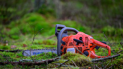 Arbeitsunfall beim Baumfällen 22 Jähriger schwer verletzt