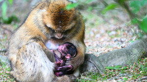 Bilder des Tages